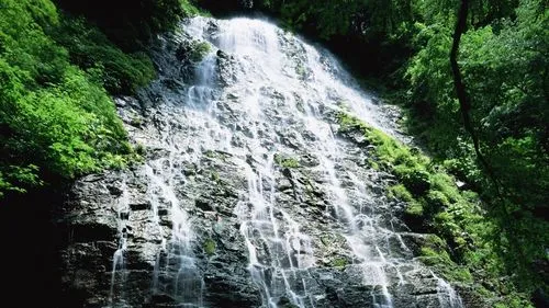 绿色高效高效